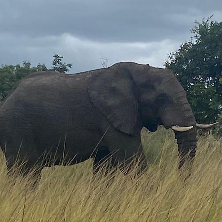 Saint Lucia Estuary El Seuno De Africa -The Dream Of Africaヴィラ エクステリア 写真