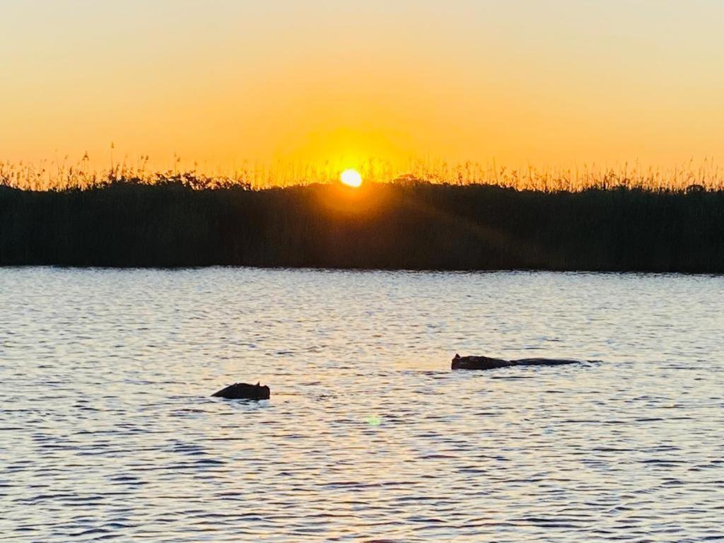 Saint Lucia Estuary El Seuno De Africa -The Dream Of Africaヴィラ エクステリア 写真