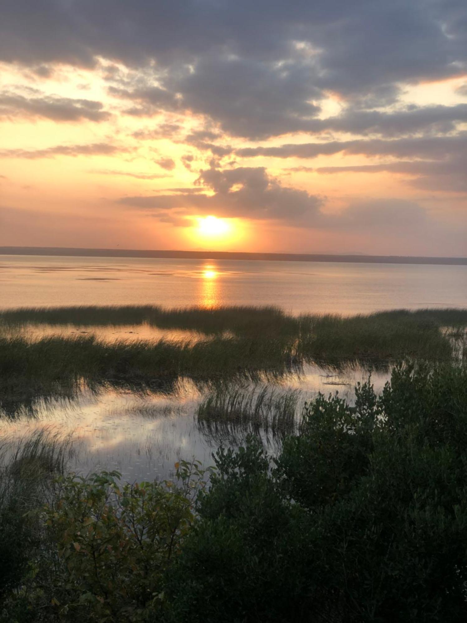 Saint Lucia Estuary El Seuno De Africa -The Dream Of Africaヴィラ エクステリア 写真