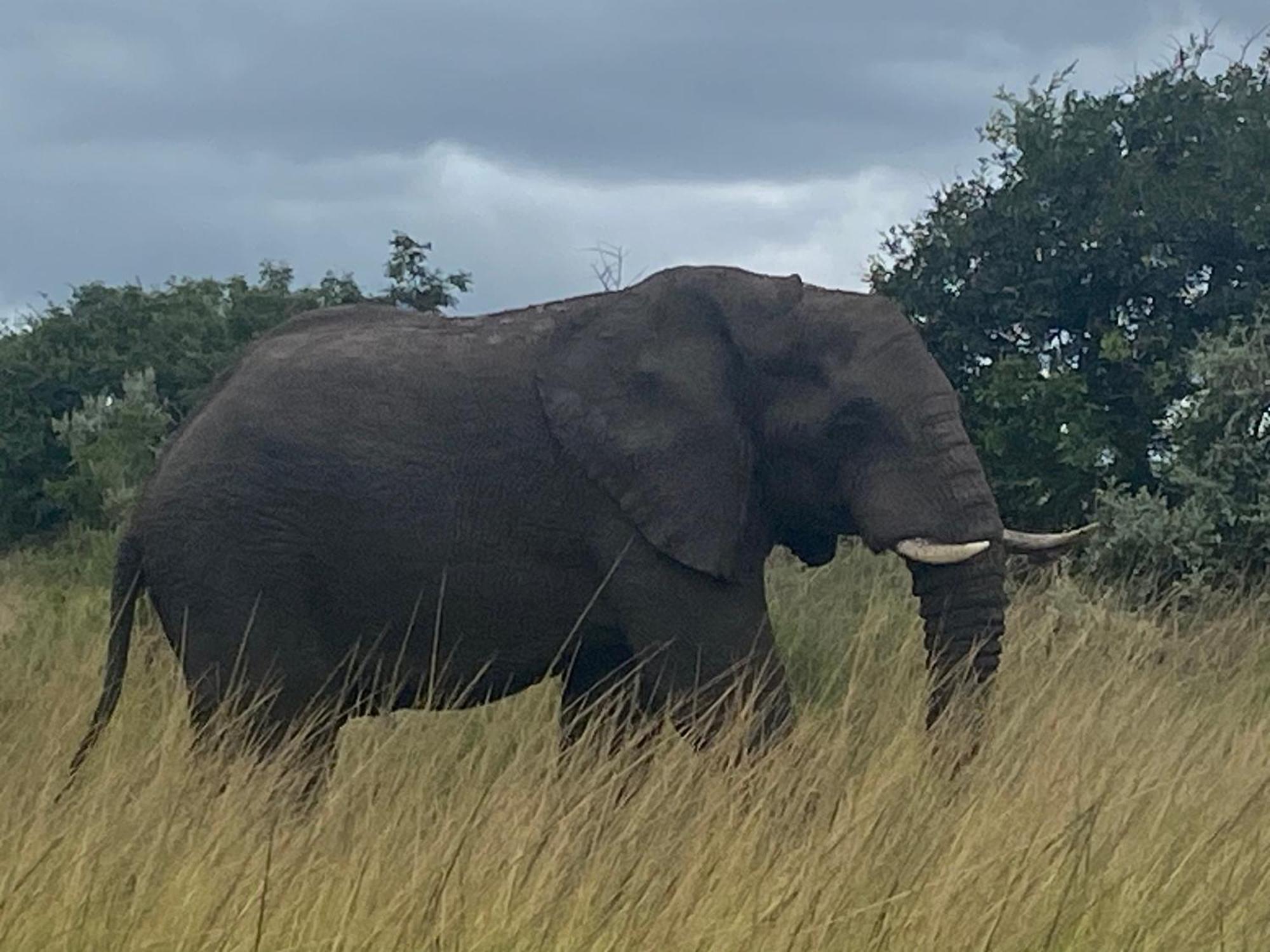 Saint Lucia Estuary El Seuno De Africa -The Dream Of Africaヴィラ エクステリア 写真