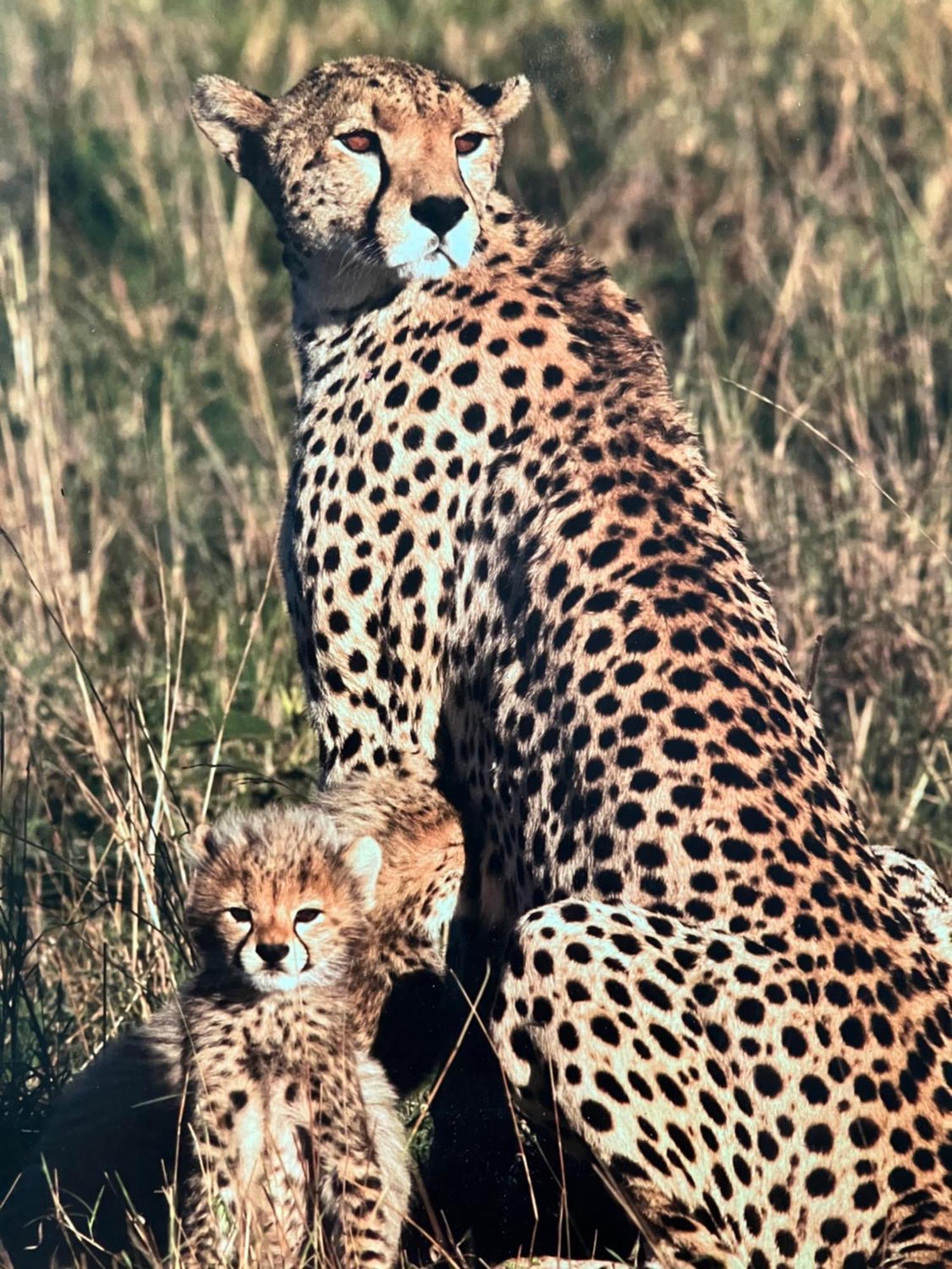 Saint Lucia Estuary El Seuno De Africa -The Dream Of Africaヴィラ エクステリア 写真