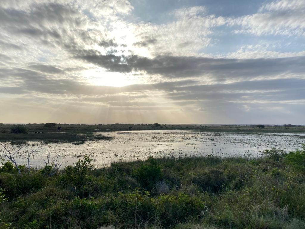 Saint Lucia Estuary El Seuno De Africa -The Dream Of Africaヴィラ エクステリア 写真