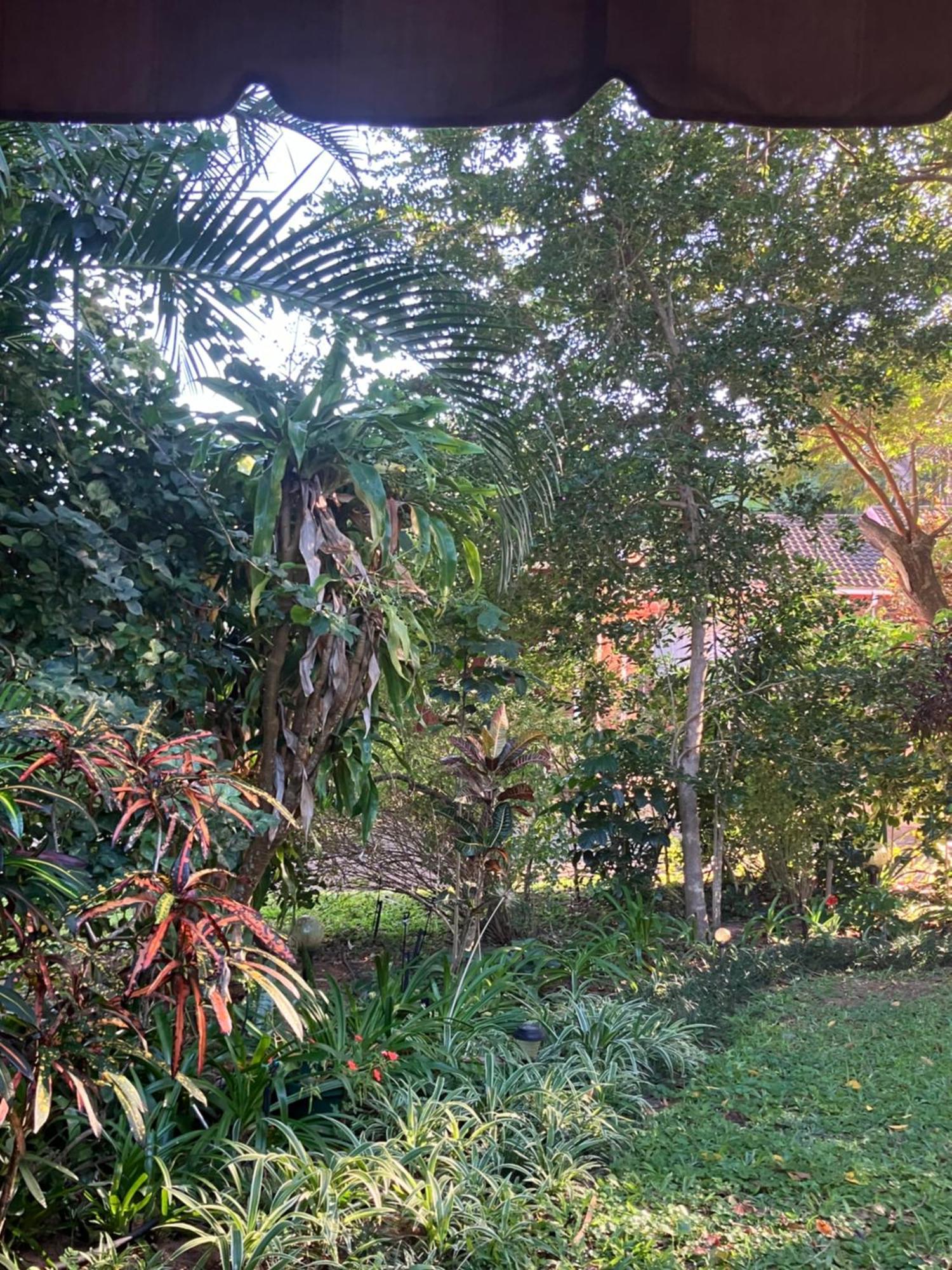 Saint Lucia Estuary El Seuno De Africa -The Dream Of Africaヴィラ エクステリア 写真
